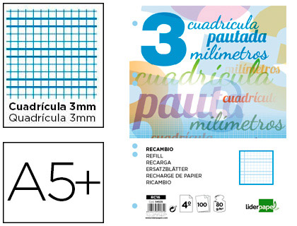 RECAMBIO LIDERPAPEL CUARTO PAUTAGUIA 100 HOJAS 75 G CUADRICULADO PAUTADO 3 MM CON MARGEN 6 TALADROS