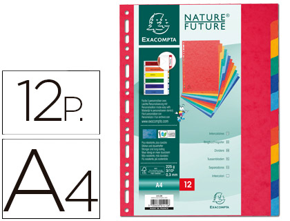 SEPARADOR EXACOMPTA CARTULINA SIMIL PRESPAN JUEGO DE 12 SEPARADORES DIN A4 MULTITALADRO COLORES VIVOS