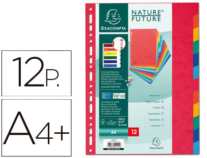 SEPARADOR EXACOMPTA CARTULINA SIMIL PRESPAN JUEGO DE 12 SEPARADORES DIN A4+ MULTITALADRO COLORES VIVOS