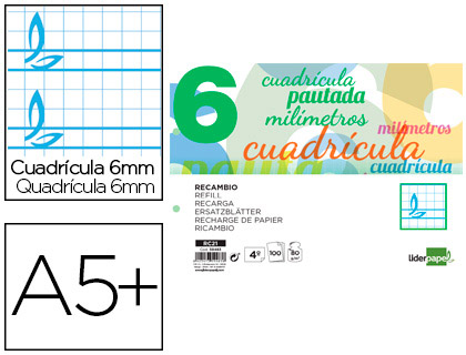 RECAMBIO LIDERPAPEL CUARTO APAISADO PAUTAGUIA 100 HOJAS 75 G CUADRICULADO PAUTADO 6 MM CON MARGEN 2 TALADROS