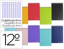 [BQ08] CUADERNO ESPIRAL LIDERPAPEL BOLSILLO DOCEAVO APAISADO WITTY TAPA DURA 80H 75GR CUADRO 4 MM COLORES SURTIDOS