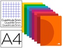 [LF07] LIBRETA LIDERPAPEL 360 TAPA DE PLASTICO A4 48 HOJAS 90G/M2 5MM CON DOBLE MARGEN COLORES SURTIDOS