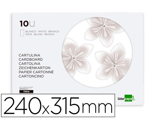 [TM14] BLOC TRABAJOS MANUALES LIDERPAPEL CARTULINA 240X315MM 10 HOJAS COLOR BLANCO