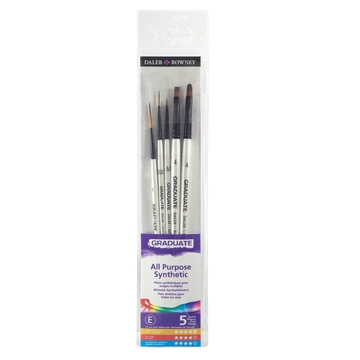 [D212550003] PINCELES SET DE 5 DALER ROWNEY GRADUATE SURTIDO SINTETICO MANGO CORTO