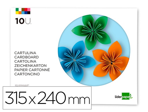 [TM02] BLOC TRABAJOS MANUALES LIDERPAPEL CARTULINA 240X315MM 10 HOJAS COLORES SURTIDOS