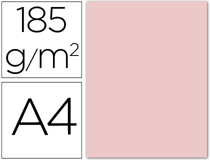 [C200040159] CARTULINA CANSON DIN A4 10 ROSA 185 GR -UNIDAD-