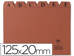 [IC04] INDICE FICHERO CARTON Nº4 125X200 MM