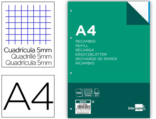 [RE05] RECAMBIO LIDERPAPEL A4 100 HOJAS 100G/M2 CUADRO 5MM 4 TALADROS BANDAS DE 5 COLORES