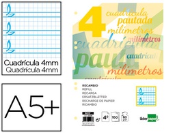 [RC17] RECAMBIO LIDERPAPEL CUARTO PAUTAGUIA 100 HOJAS 75 G CUADRICULADO PAUTADO 4 MM CON MARGEN 6 TALADROS