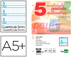 [RC18] RECAMBIO LIDERPAPEL CUARTO PAUTAGUIA 100 HOJAS 80 G CUADRICULADO PAUTADO 5 MM CON MARGEN 6 TALADROS