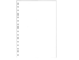 [4075598] RECAMBIO MULTIFIN 3005 LISO -BLANCO